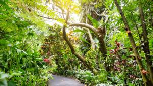 Ботаническа градина