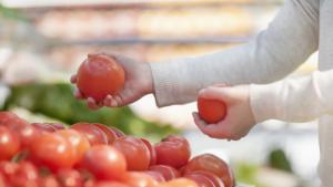 Българските плодове и зеленчуци ще изчезнат от пазара Това предупреждават
