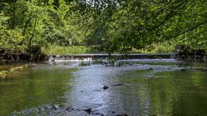 река природа