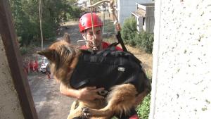 Темата на NOVA