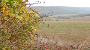 есен времето