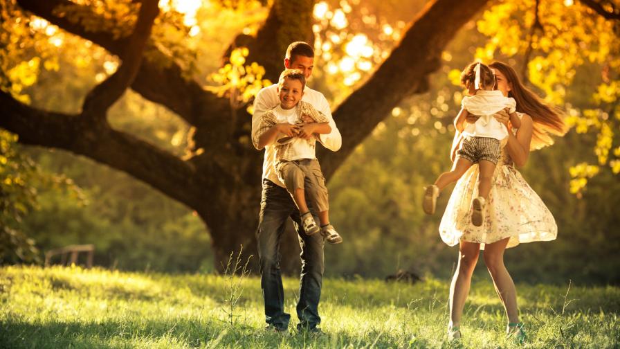  Имунитет ми дай и повече не ме мъчи! 