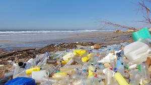 Замърсяването с пластмаса е все по голям проблем а сега може