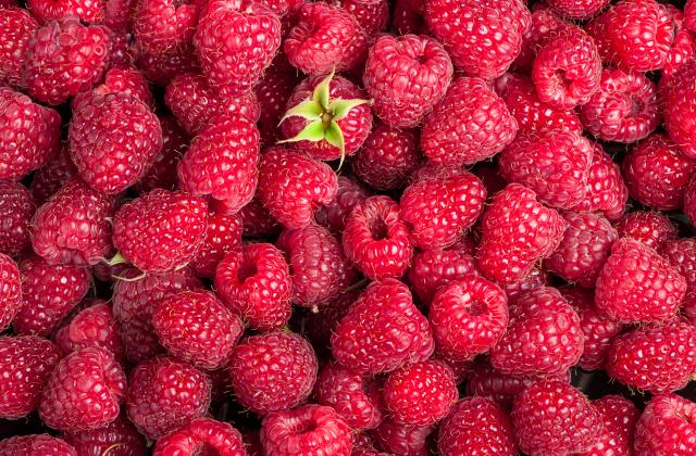 Цените на малините и къпините по пазарите продължават да държат