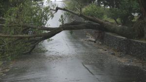 силни ветрове вятът