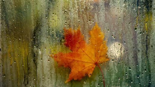  <p>Опасно време. Поройни дъждове, сняг в планините</p> 