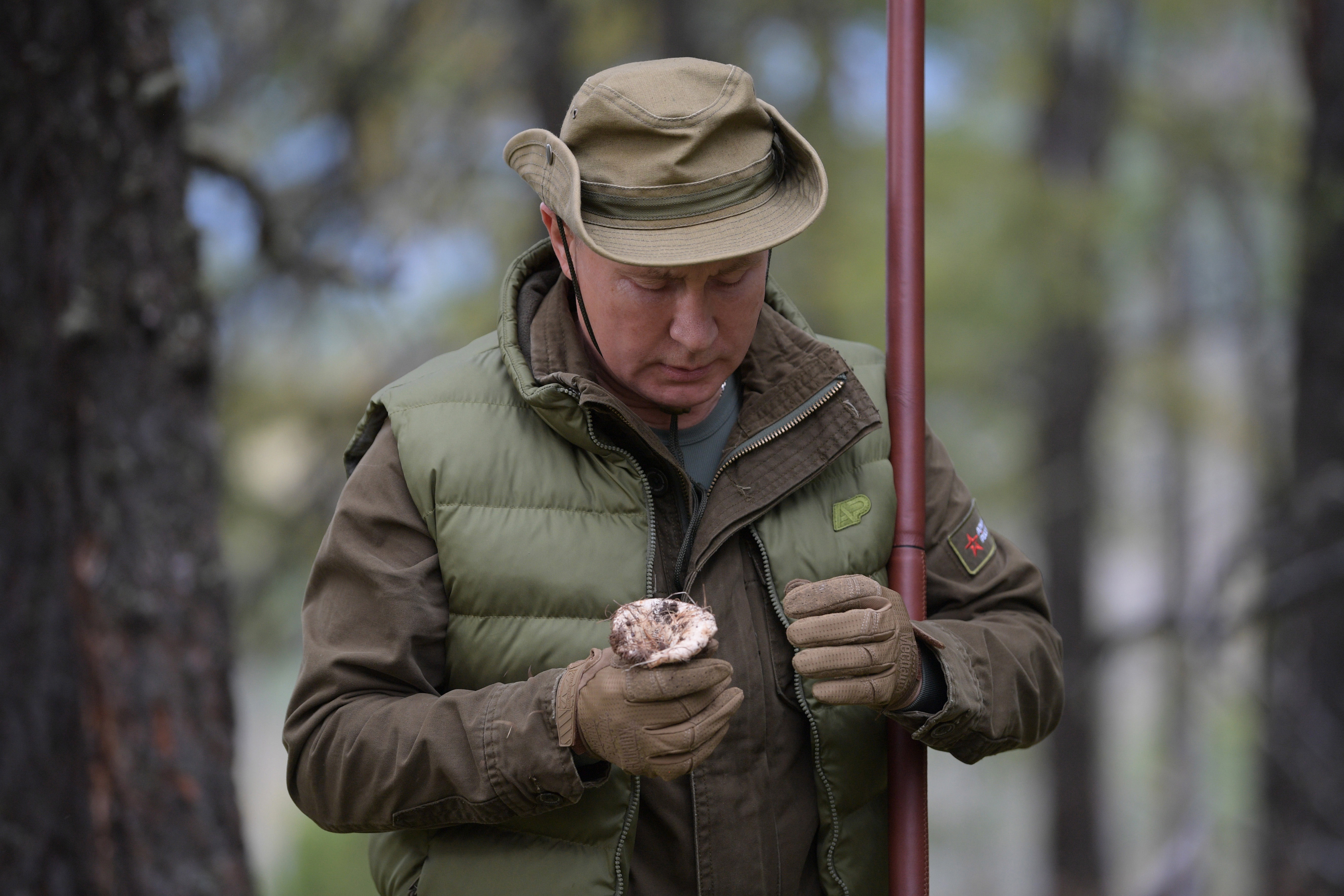 Путин и военният министър Сергей Шойгу се разхождат сред върховете на труднодостъпен район в сибирската тайга.