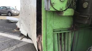 камион с прасета