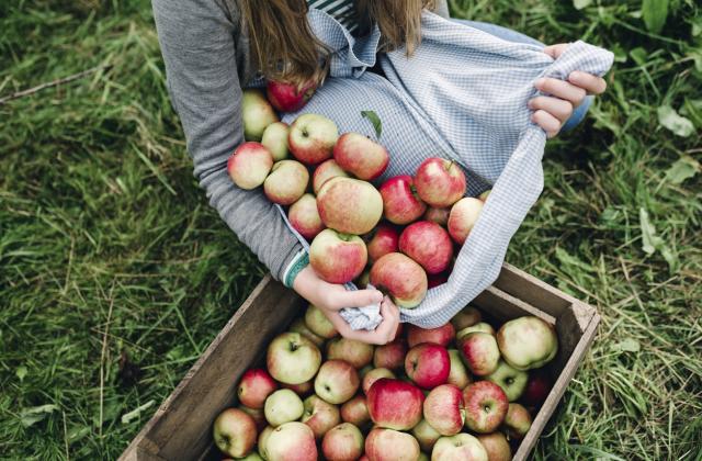 Българското земеделие трябва да се прави с ум и сърце, за