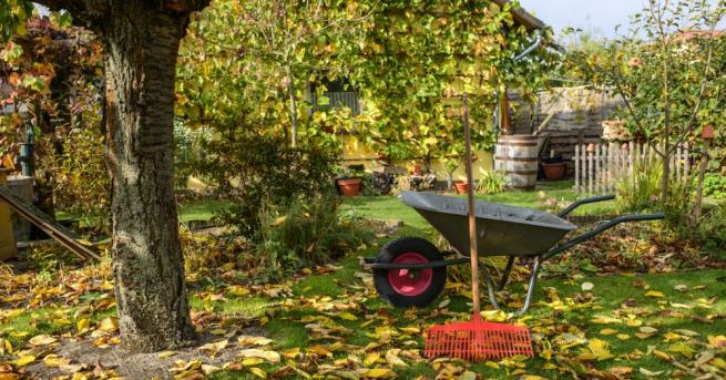 Атмосферното налягане след обяд ще се понижи но ще се