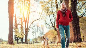 прогноза за времето есен