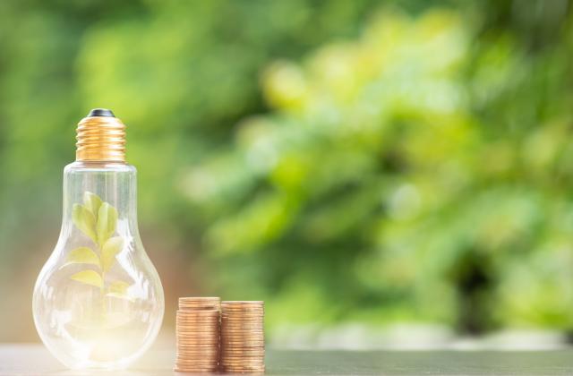 Таванът на помощите, които отпуска държавата на небитовите потребители заради