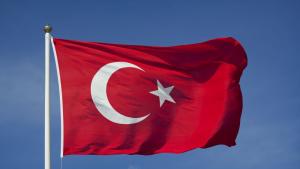 Турските сили за сигурност задържаха 42 ма организатори на нелегална миграция