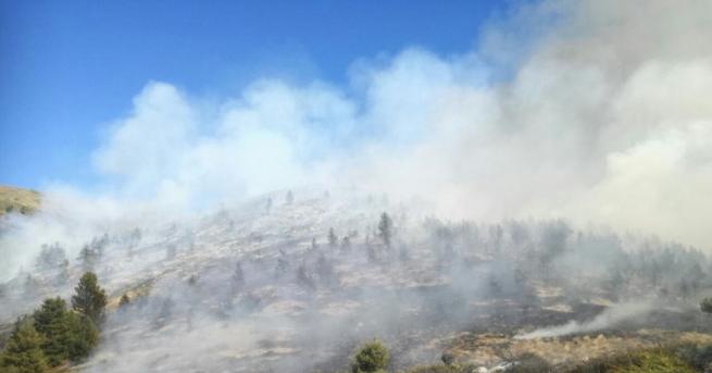 Продължава гасенето на горския пожар на територията на Национален парк