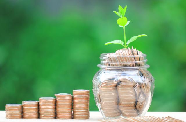 Според експерти твърдата сума за инвестиране не трябва да бъде