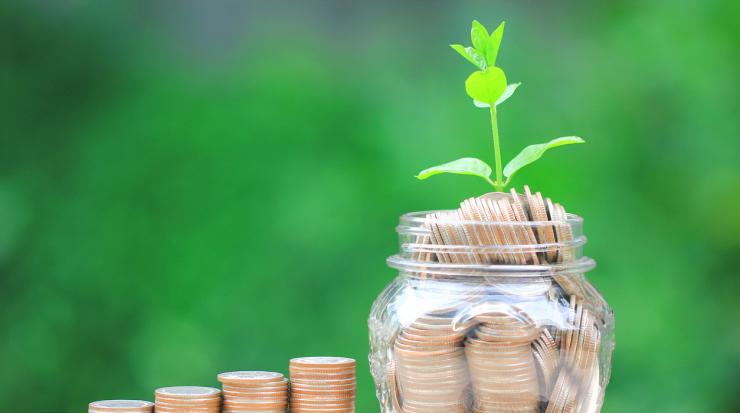 спестяване