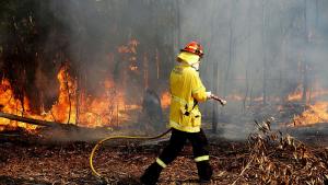 Десетки горски пожари вилнеят по източното крайбрежие на Австралия Те