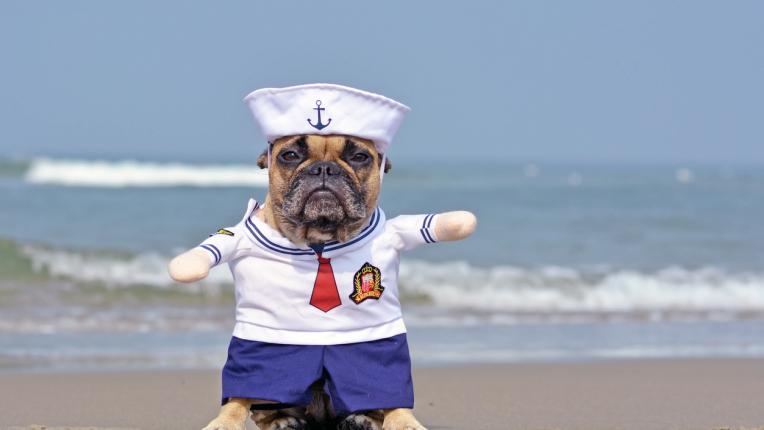  Дневен хороскоп за събота, 31 октомври 