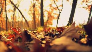 есен Габрово