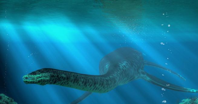 Масивното морско влечуго принадлежи към типа плезиозаври от юрския период
