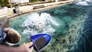 аквакултура