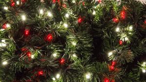 Коледно дърво на желанията ще събира мечтите на сливенските деца
