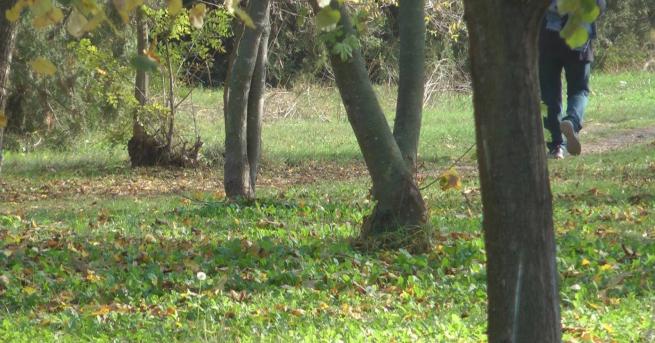 От понеделник отварят парковете във Велико Търново въвежда се противоепидемична