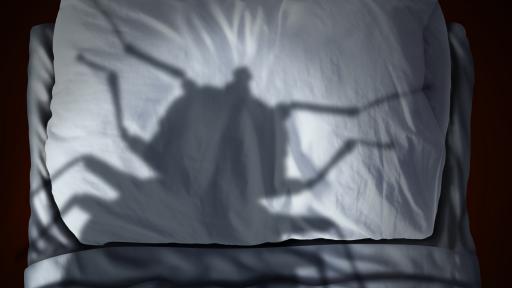  <p><strong>5 знака</strong>, че в дома ви има <strong>дървеници</strong></p> 