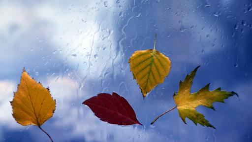  Дъждовно време, идва стопляне - по кое време 