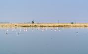  Соленото езеро Самбхар 