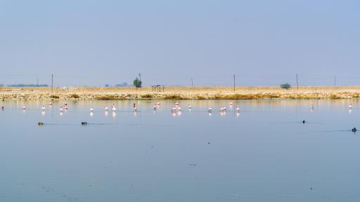  Соленото езеро Самбхар 