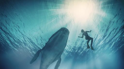  <p><strong><span style= 