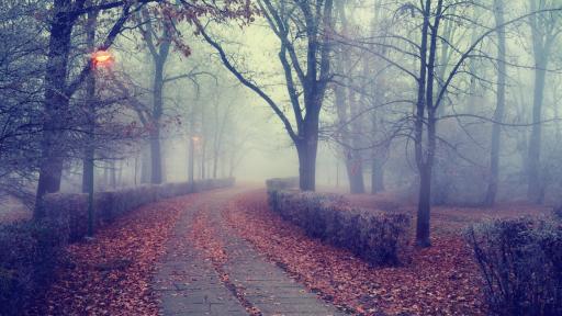  <p>Мъгла и хладно време, по кое време ще се затопли</p> 