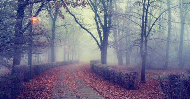 България Мъгла и хладно време кога ще се затопли Времето