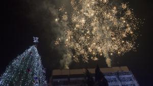 коледна елха Стара Загора