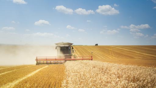  Прибиране на пшеницата 