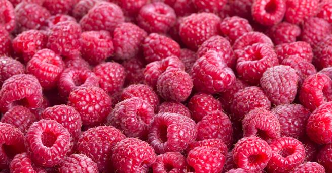 Производството на малини бележи 30 ръст спрямо миналата година В