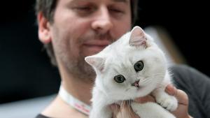 Международно изложение на котките