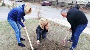 МГЕРБ залесиха дръвчета в Бобов дол