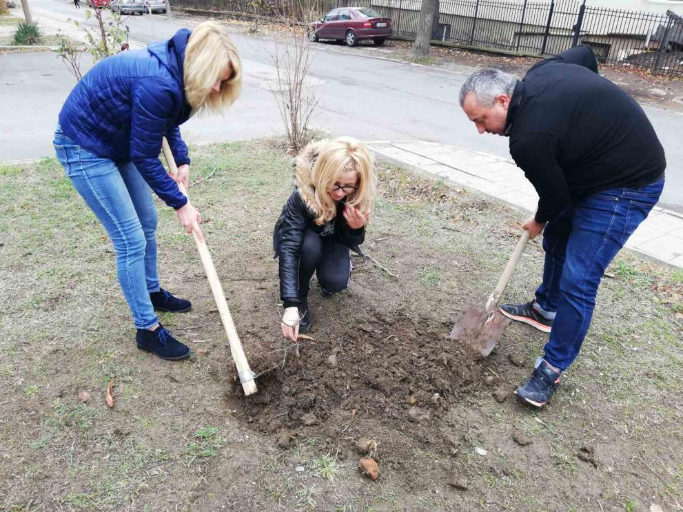 МГЕРБ залесиха дръвчета в Бобов дол