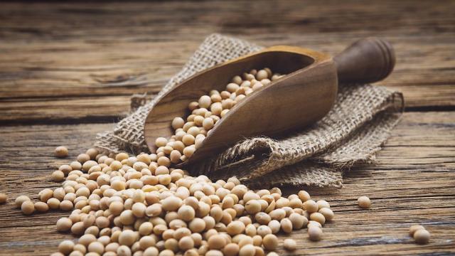 Консумацията на соеви продукти може да е опасно