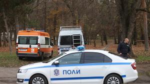 убийство Борисова градина