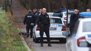 Борисова градина инцидент