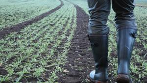 Европейската комисия внесе днес пояснения за обстоятелствата при които земеделците