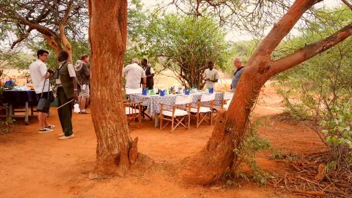  На един брезент разстояние от лъвовете 