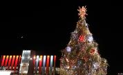  Коледната елха в София блестна 