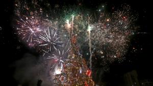 София коледна елха