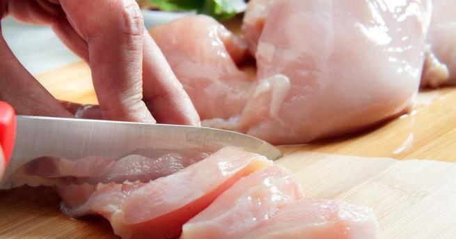 България Над 100 тона пилешко месо със салмонела у нас