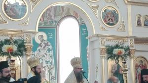 Митрополит Николай