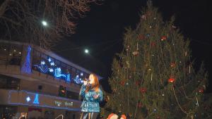 коледна елха разгард